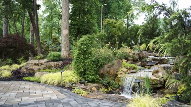 How to Create a Low-Maintenance Home Garden